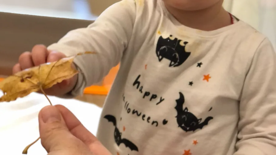 enfant qui prend une feuille