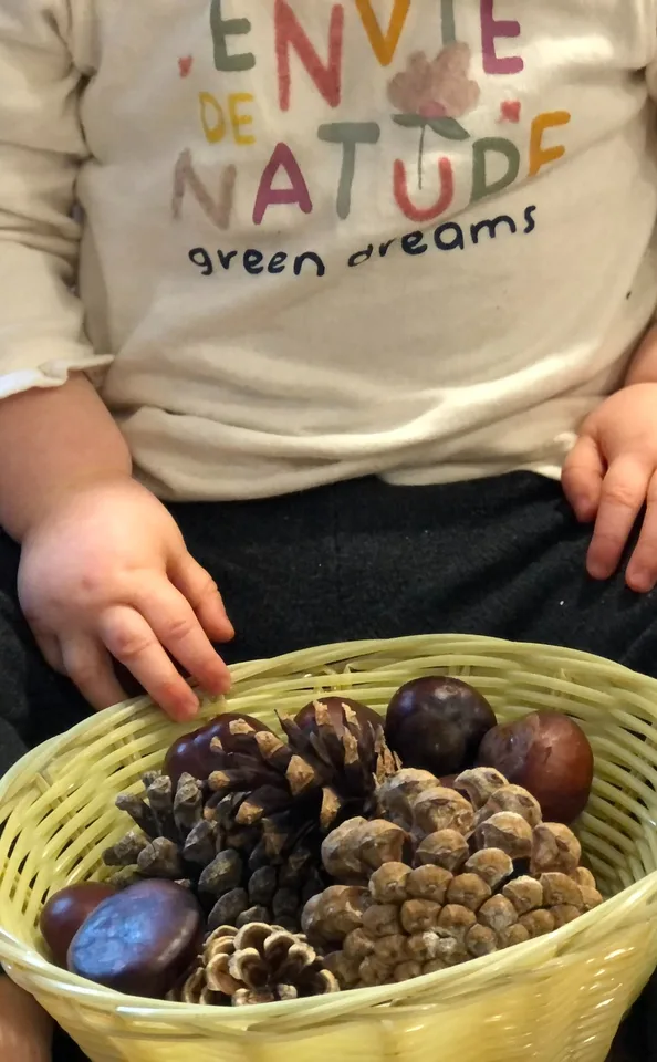 enfant, marrons et pommes de pin